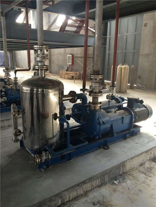 水環(huán)真空泵維修與化工設備維護 從惠東案例看專業(yè)真空泵廠家的服務價值